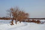 根河冬天郊外雪景