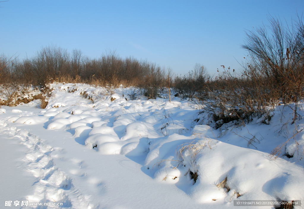 根河南河套冬天雪景