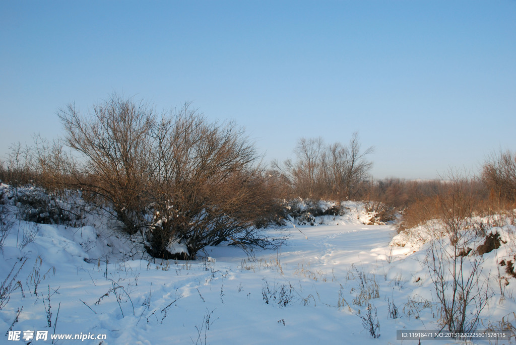 根河南河套冬天雪景