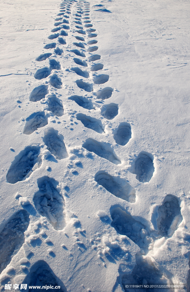 冬天雪地脚印