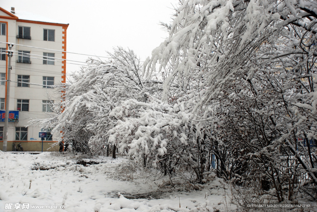 统建楼家前冬天雪景