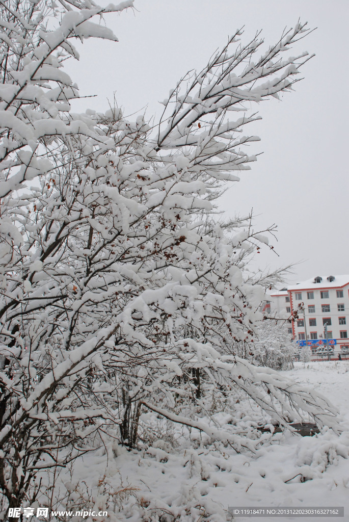 统建楼家前冬天雪景