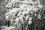 统建楼家前冬天雪景