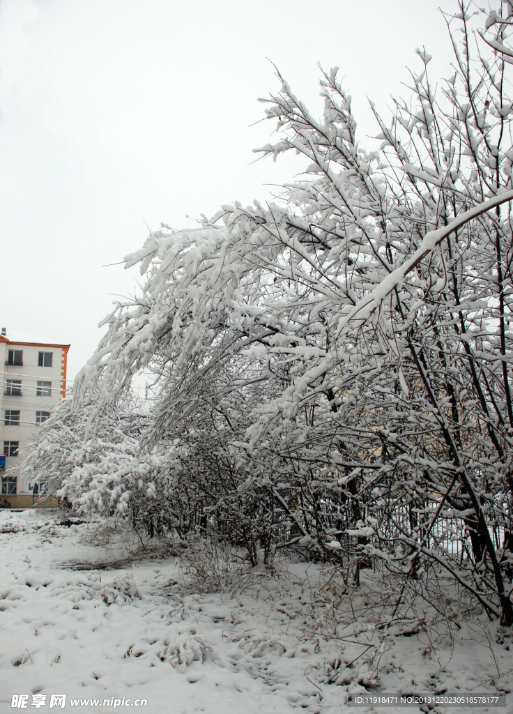 住宅楼前雪景