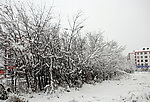 统建楼家前冬天雪