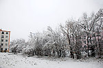 根河住宅楼前雪景