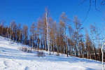 五峰山冬天雪景