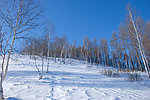 五峰山冬天雪景