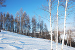 根河五峰山雪景
