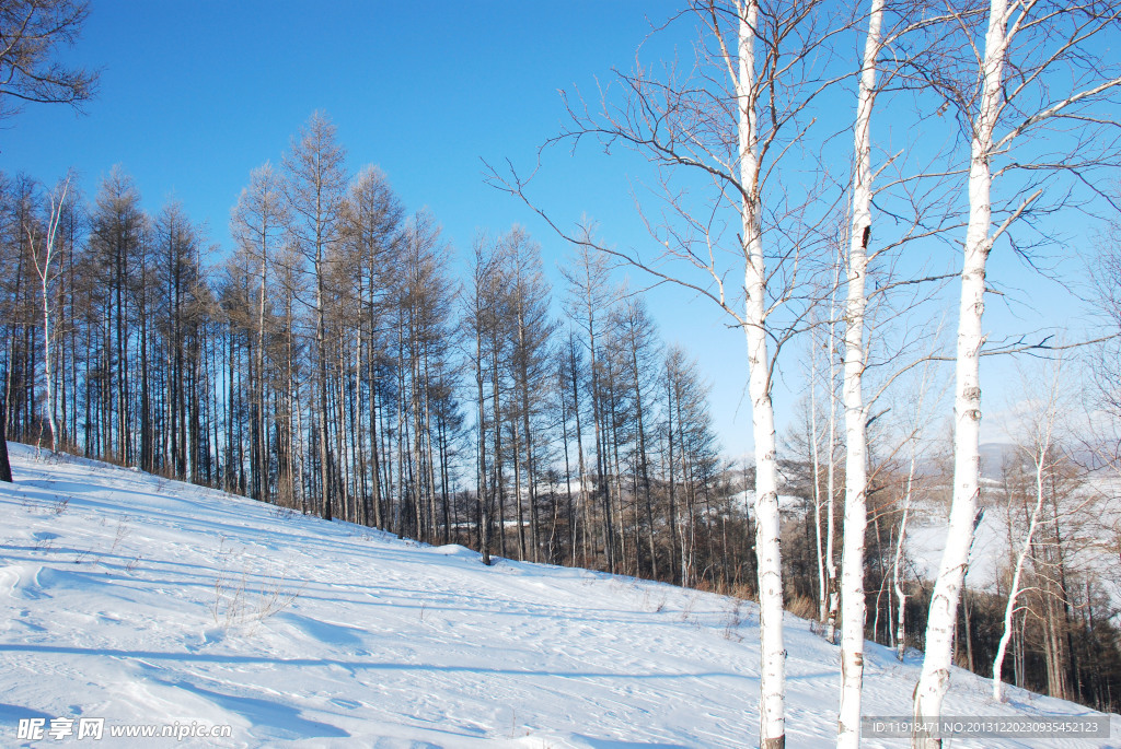 根河五峰山雪景