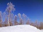 五峰山风景