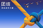团结