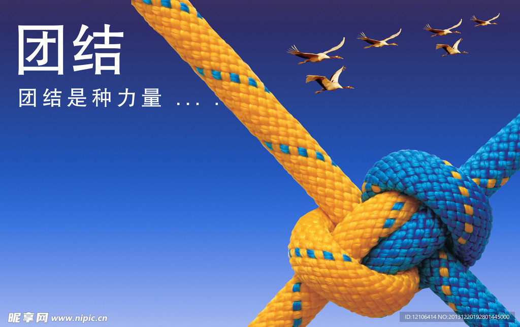 团结