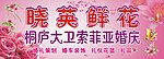 花店 婚庆