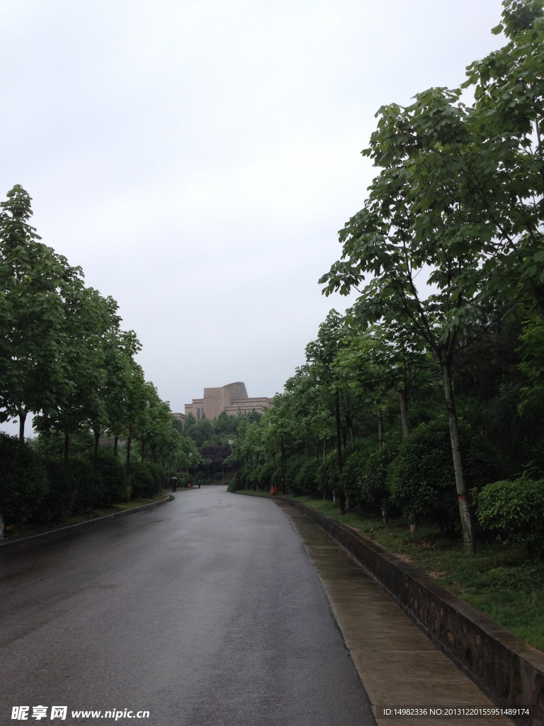 雨中的宝鸡