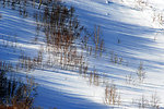 长白山雪影山影