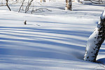 长白山雪影流光