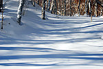 长白山雪影