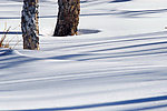 长白山雪影