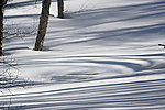 长白山雪影