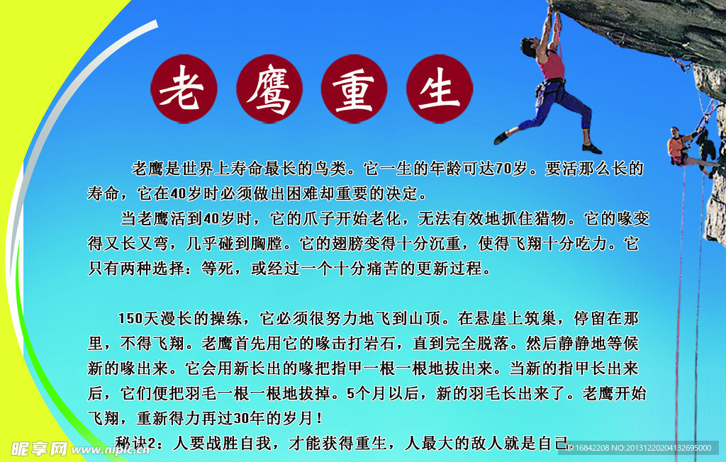 老鹰重生 励志篇