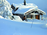 雪原小屋