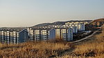 山城