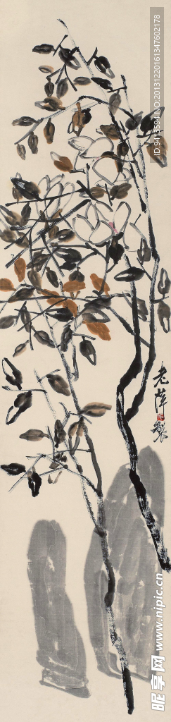 白玉兰