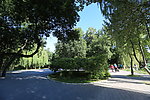 秋游圆明园