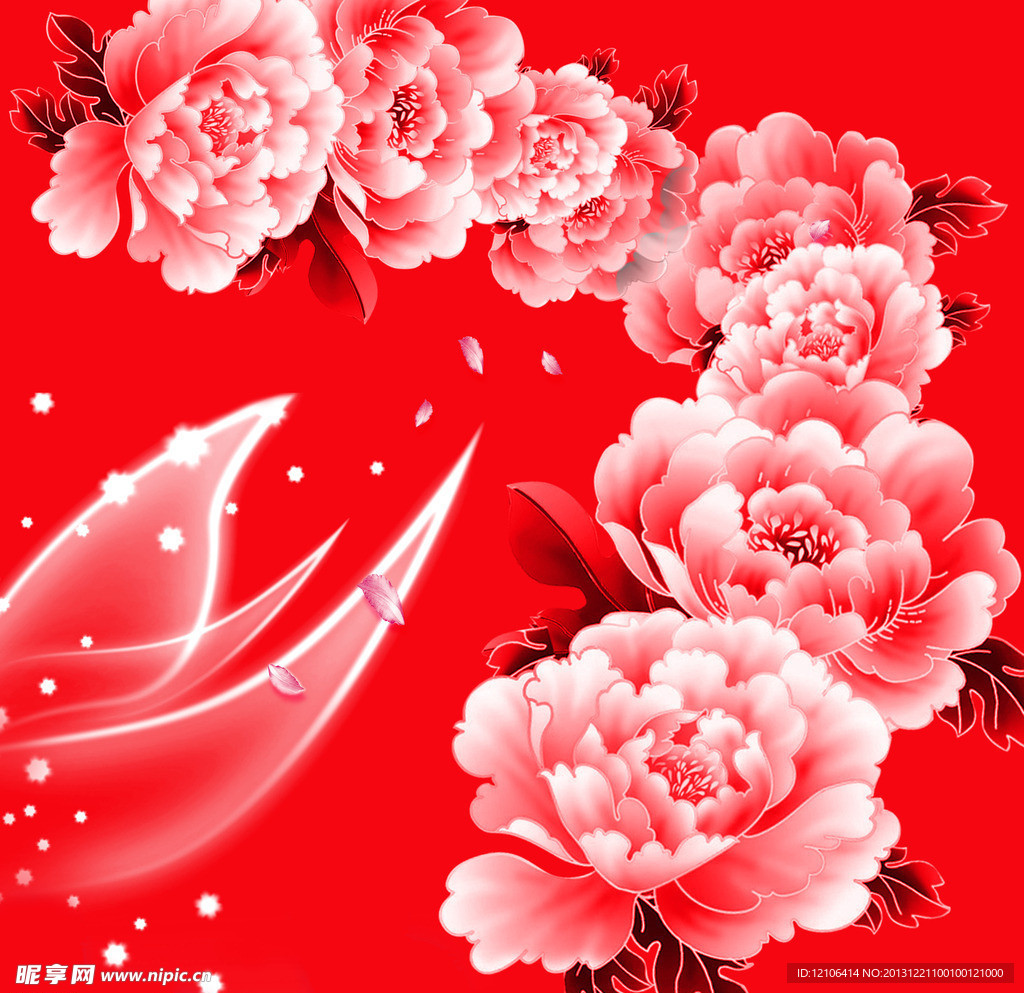 牡丹花