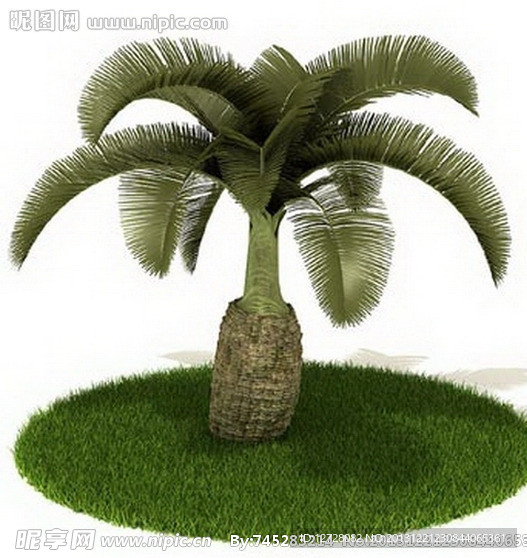 植物 树木 景观树木