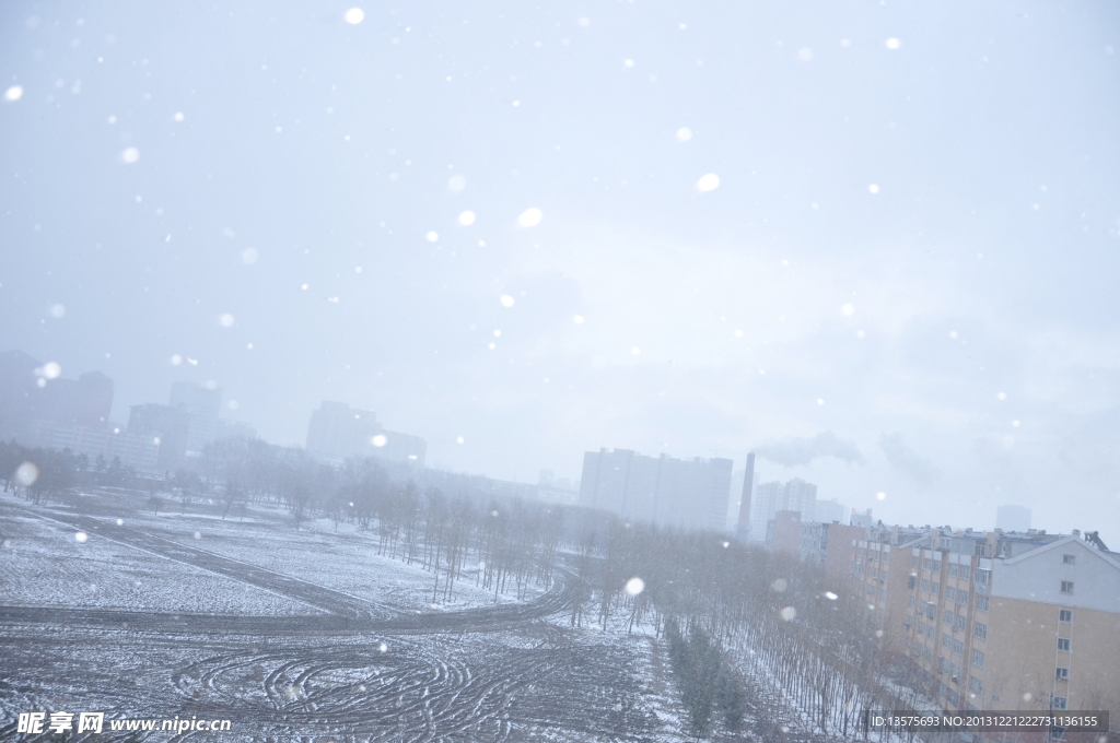 冬日的雪