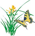 兰草花矢量素材