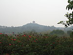 泉州森林公园