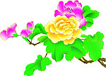 牡丹花 喷绘牡丹花
