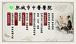 中医文化