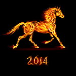 2014火焰骏马