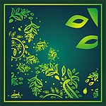 花纹