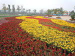 鲜花广场