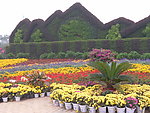 植物园