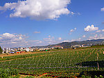 田园风光