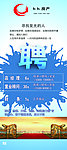 房地产 招聘