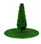 植物 花 盆栽