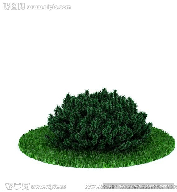 植物 花 盆栽