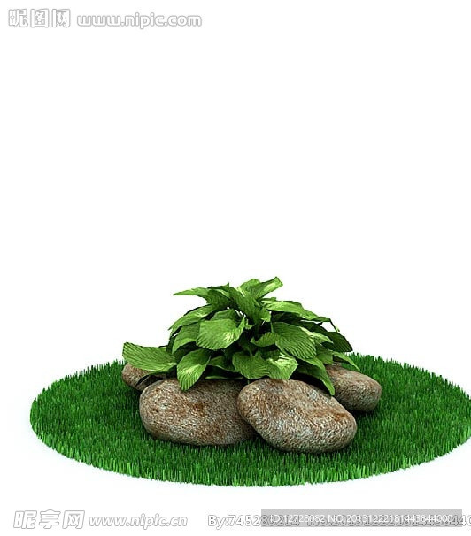 植物 花 盆栽