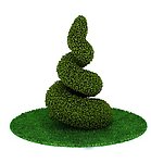 植物 花 盆栽