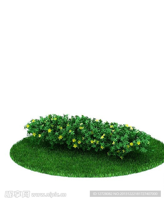 植物 花 盆栽