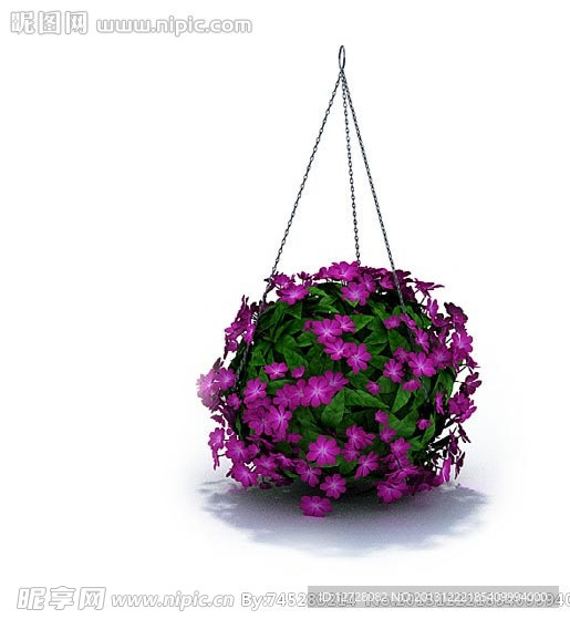 植物 花 盆栽