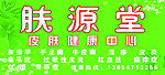 肤源堂 经营范围