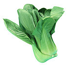 油菜